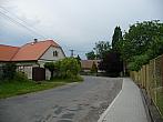 Třibřichy